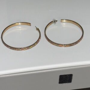 Elegant Gold Hoop Earrings